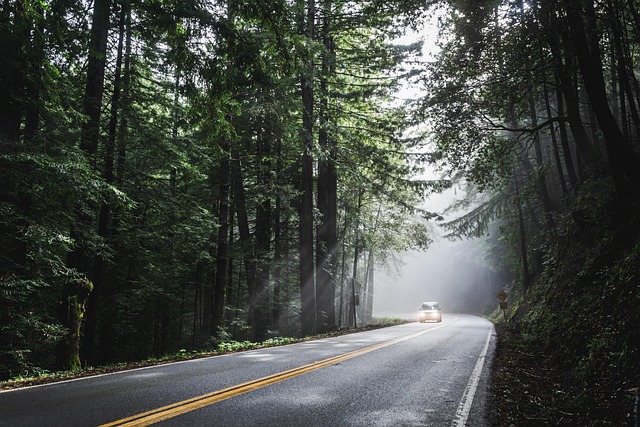 Transylvania Road Trip