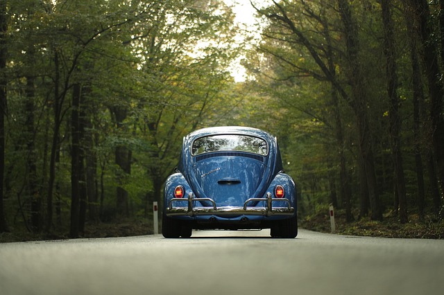 Transylvania Road Trip